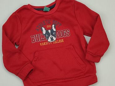 bluza zapinana sweterek: Світшот, Little kids, 4-5 р., 104-110 см, стан - Хороший