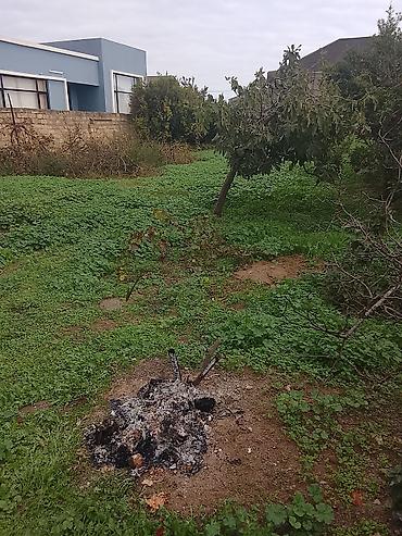 sekilde kiraye evler: 6 otaqlı, 200 kv. m, Kredit yoxdur, Təmirsiz — 5