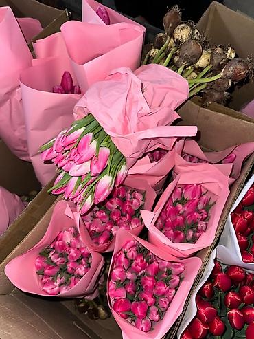 Букеты из живых цветов: Тюльпаны с луковицей Оптом | В розницу - Свежие тюльпаны с крупным — 9