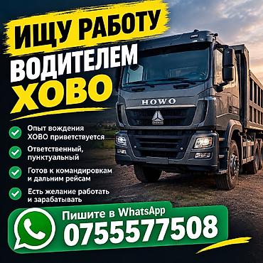 вакансии на официанта: Ищу работу водителем HOWO (самосвал/грузовой автомобиль). Ключевые — 1
