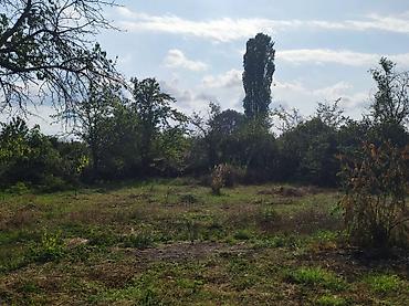 bayıl torpaq satılır: 10 sot, Tikinti — 2