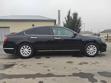 Nissan: Nissan Teana: 2.4 l | 2008 il Sedan — 7