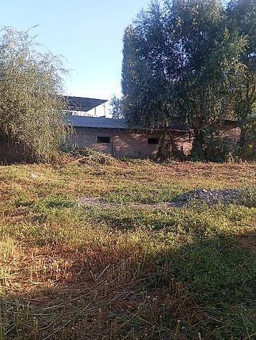 Продажа коттеджей и домов: Продаю два дома на одном участке Рядом с трассой Аэропорта Манас Село — 15