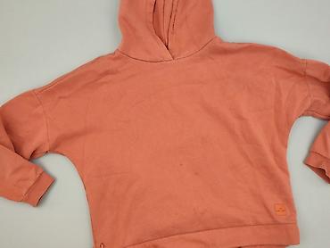 mróz: Volcano, Bluza z kapturem damska, rozmiar L — 1