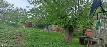 Həyət evləri və villaların satışı: 15 otaq, 300 kv. m, Kredit yoxdur, Orta təmir -da lalafo.az — 2 Həyət evləri və villaların satışı: 15 otaq, 300 kv. m, Kredit yoxdur, Orta təmir — 2