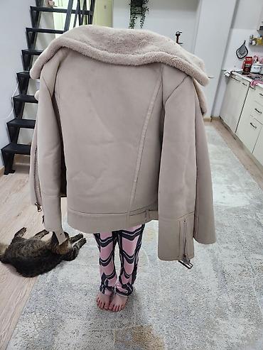 кожаные куртки женские: Дубленка, Авиатор, Короткая модель, L — 3