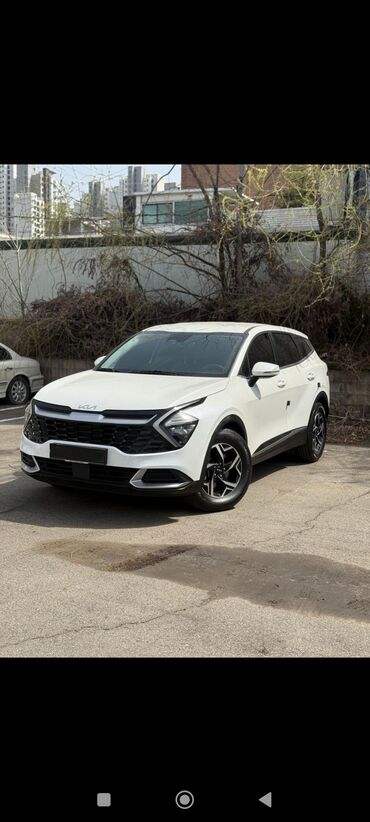 киа рио хлайн: Kia Sportage: 2021 г., 1.6 л, Автомат, Бензин