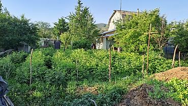 Дома: Продаётся дачаный дом мансардные болшой1комнат,1этаж 4-комнатый,и — 5