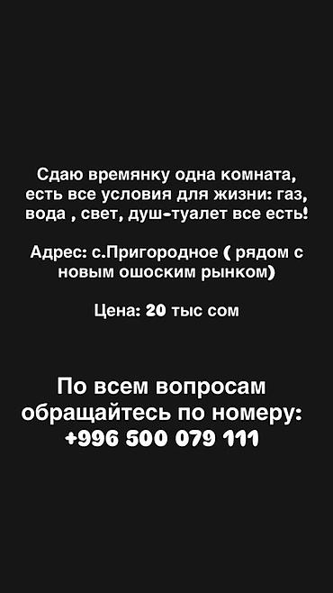 сдаю 8000: Сдаётся времянка: одна комната с полноценными условиями для жизни — 1