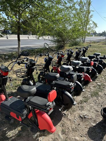 Скутеры: Веломопед 500 куб. см, Электро, Новый — 6