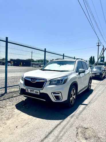 бамперы субару форестер: Subaru Forester: 2018 г., 2 л, Вариатор, Бензин, Кроссовер