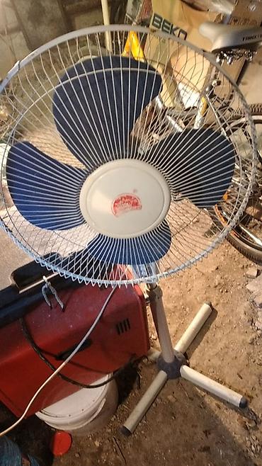 plasma: Masaüstü/otaq üçün dayaqlı ventilyator - Tip: Pedestal (dördayaqlı) — 1