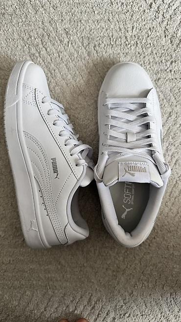 adidas campus: Кроссовки, 35.5, 36, Puma, Новый, цвет - Белый — 6