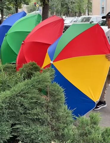большая ваза для пальмы: Аренда зонтов 300 сом в день