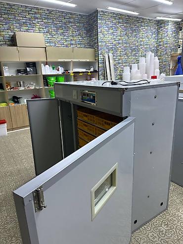 Товары и оборудование для с/х животных: Инкубатор Промышленный 352 жумуртка полынй автомат . Инкубатор 1056 — 10