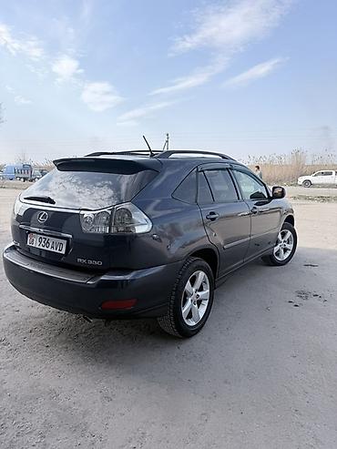 Lexus: Lexus RX: 2004 г., Кроссовер — 11