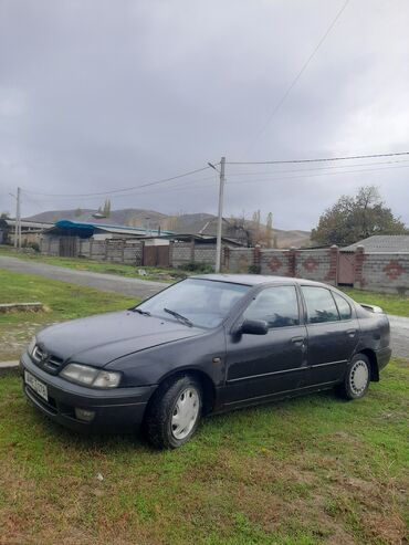 машина усталар: Nissan Primera: 1997 г., 1.6 л, Механика, Бензин, Седан