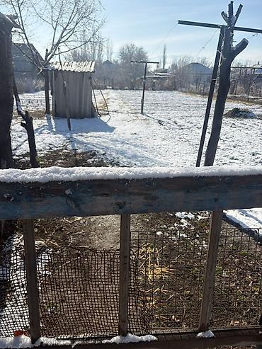 Продажа домов: Дом, 20 м², 5 комнат — 9