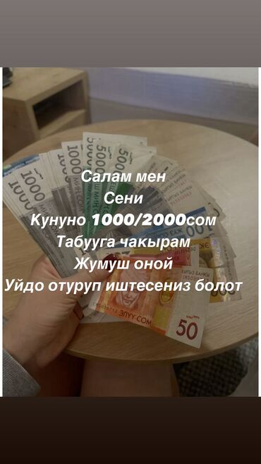 переводчики бишкек: Сатуучу-консультанттар