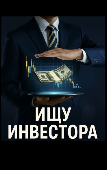 Сфера услуг: Мы команда тендерщиков ищем инвестора для участия в тендерах. Готовы