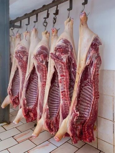свинины: Реализуем мясо свинины . Туши/полутуши и по частям ! Мясо с
