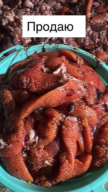 мясо яка: Икра Форели Икра рыбы (вероятно, карповых/речной рыбы), свежая, в — 1