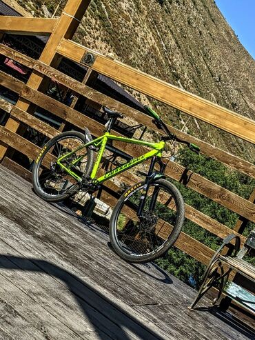 профессиональный горный велосипед: Горный велосипед, Specialized, Рама XL (180 - 195 см), Алюминий, Б/у