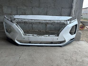 британская короткошерстная кошка купить: Бампер Передний Hyundai, Б/у