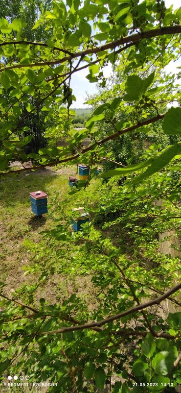 Həyət evləri və villaların satışı: 8 otaq, 260 kv. m, Kredit yoxdur, Orta təmir — 22