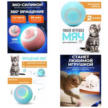 лотки для кошек бишкек: Продаю умную игрушку мяч для животных а так же:шлейки,сумки