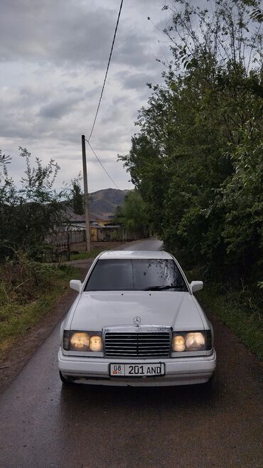 mercedes benz сапок: Mercedes-Benz E-Class: 1991 г., 3 л, Механика, Дизель, Седан