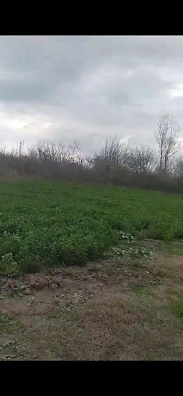 Həyət evləri və villaların satışı: Ev Beyleqan rayonu ölen qala qesebesinde yerlereşir 50 sot heyati var — 7