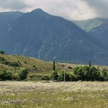 участок жм ак тилек: 5 соток, Курулуш, Кызыл китеп