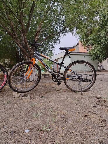 aurus bike: Velosiped ehtiyyat hissələri
