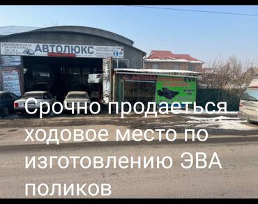 штампованные листы для ворот: Eva Полики Для салона Новый