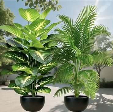 Süni güllər: 🌸 İstədiyiniz dibçəyi, istədiyiniz ölçüdə yığırıq! 🏡 Evlər, ofislər -da lalafo.az — 3 Süni güllər: 🌸 İstədiyiniz dibçəyi, istədiyiniz ölçüdə yığırıq! 🏡 Evlər, ofislər — 3