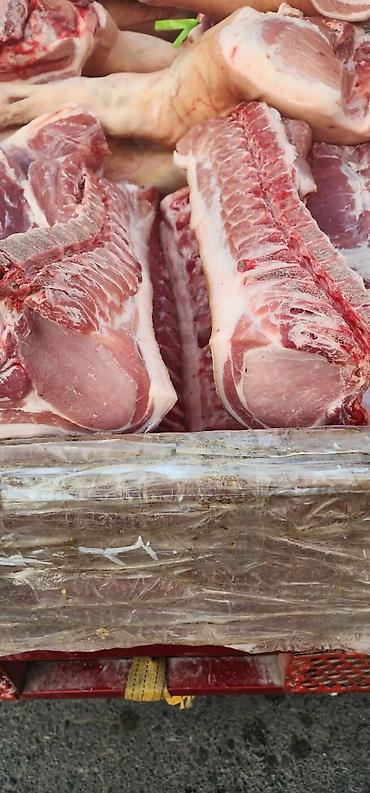Свинина: СВИНИНА ОПТОМ В ПОЛУТУШАХ - Прямая поставка свежей продукции. - — 5