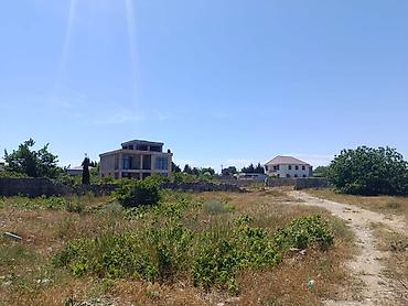 Torpaq: 19 sot, Tikinti, Mülkiyyətçi, Kupça (Çıxarış) — 1