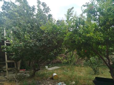 Həyət evləri və villaların satışı: 4 otaqlı, 100 kv. m, Kredit yoxdur, Orta təmir -da lalafo.az — 13 Həyət evləri və villaların satışı: 4 otaqlı, 100 kv. m, Kredit yoxdur, Orta təmir — 13