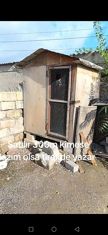 kend toyuqlari: Taxta toyuq/kənd quşları üçün daxıl - Material: qalın taxta və metal — 2