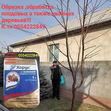 ремонт подушки: Обрезка, обработка. Плодовых и хвойных деревьев. Стрижка живой — 9