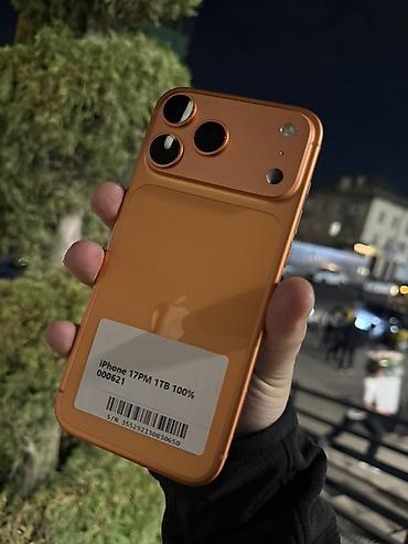 IPhone 17 Pro Max, 1 ТБ, цвет оранжевый Характеристики и детали по