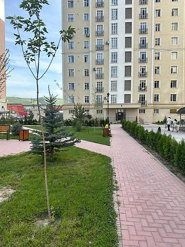 building: 4 комнаты, 100 м², Асанбай мкр 9 этаж, Свежий ремонт — 2