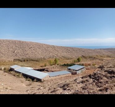 Другие товары для дома и сада: Продается действующий бизнес кашар вместе с садом для разведения скота — 2