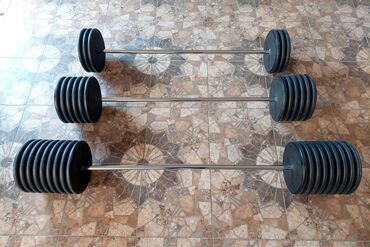 Digər trenajorlar: HAL HAZIRDA QİYMET CEDVELİ. 1 eded 5 kq qantel 7 azn 2 eded 5 kq — 7