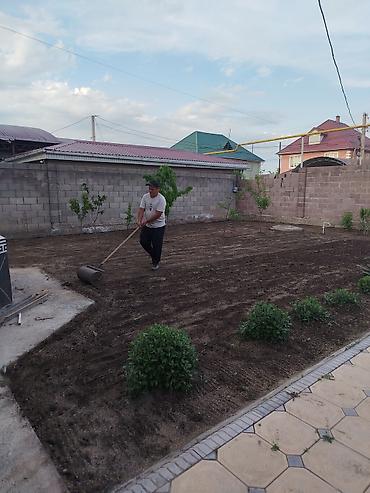 Семена газона: Семена гозона 🌱за 10 дней Из Европы 🇪🇺 производство Дания. Линейка — 6