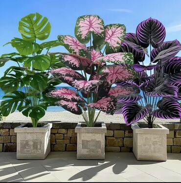 Süni güllər: 🌸 İstədiyiniz dibçəyi, istədiyiniz ölçüdə yığırıq! 🏡 Evlər, ofislər -da lalafo.az — 20 Süni güllər: 🌸 İstədiyiniz dibçəyi, istədiyiniz ölçüdə yığırıq! 🏡 Evlər, ofislər — 20