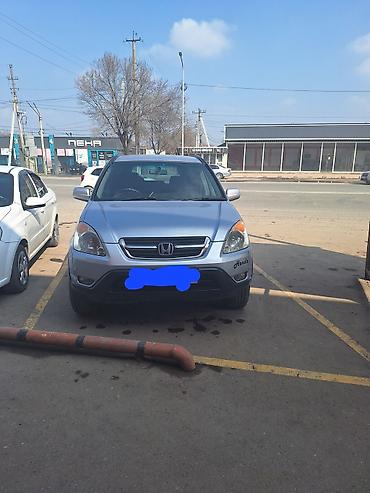 мото honda: Honda CR-V: 2003 г., 2 л, Автомат, Бензин, Кроссовер — 1