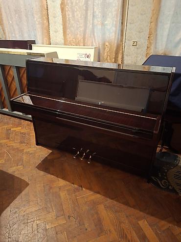 petrof: Piano, Petrof, Akustik, Yeni, Pulsuz çatdırılma — 2