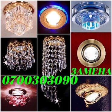комнатные растения цветы: Установка софитов